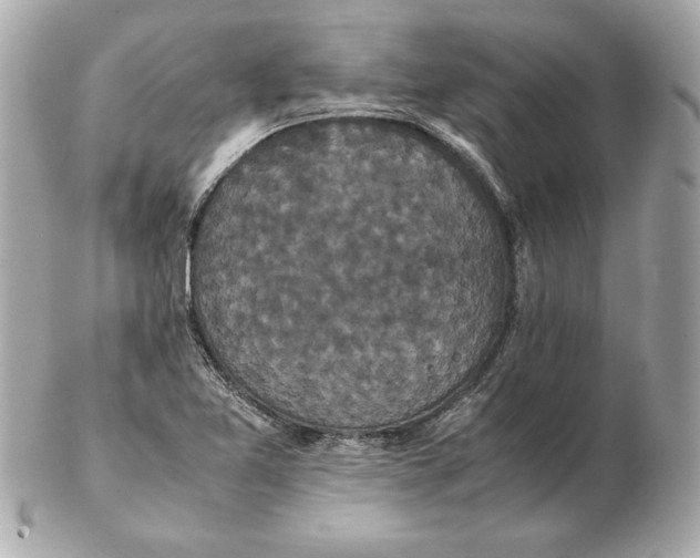 X0000102471365200808291555