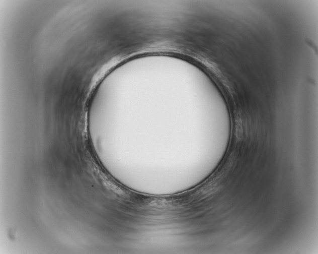 X0000102471366200808291555