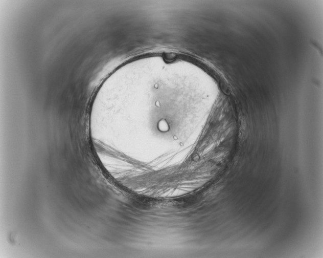 X0000102471367200808291555
