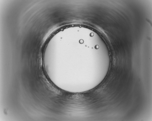 X0000102471368200808291555