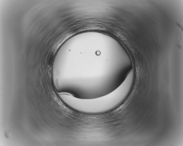 X0000102471369200808291555