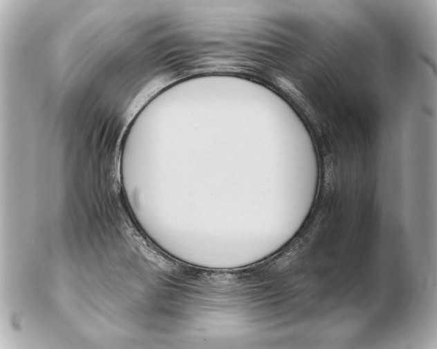 X0000102471370200808291555