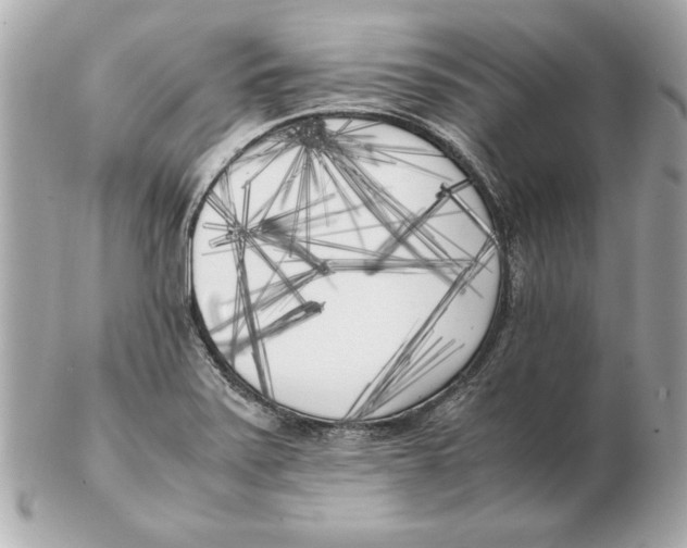 X0000102471371200808291555