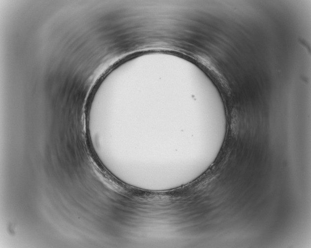 X0000102471372200808291555