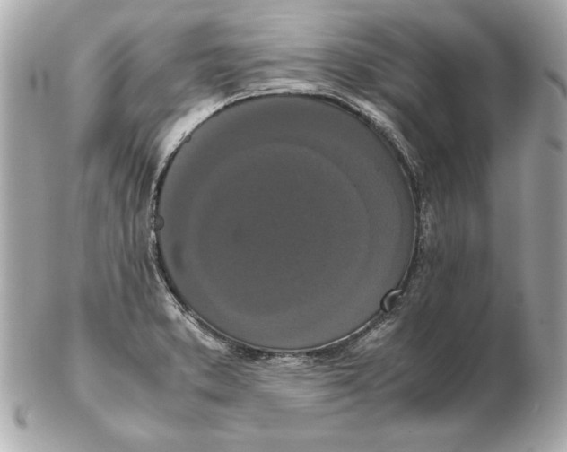 X0000102471373200808291555
