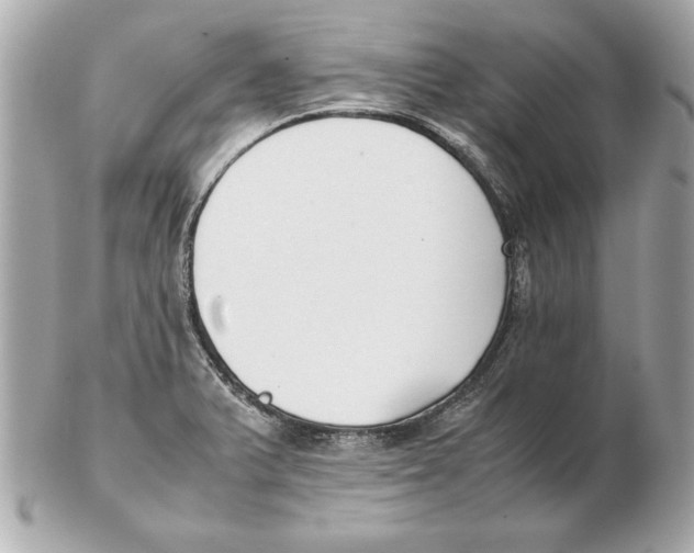 X0000102471375200808291555