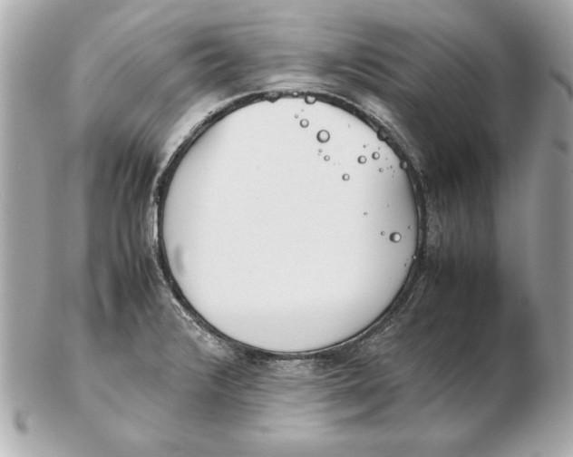 X0000102471376200808291555
