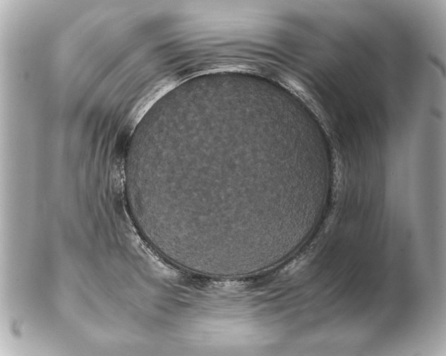 X0000102471377200808291555