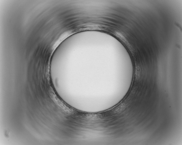 X0000102471378200808291555