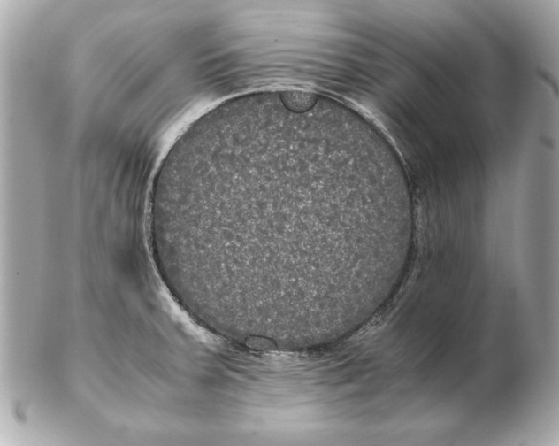 X0000102471379200808291554