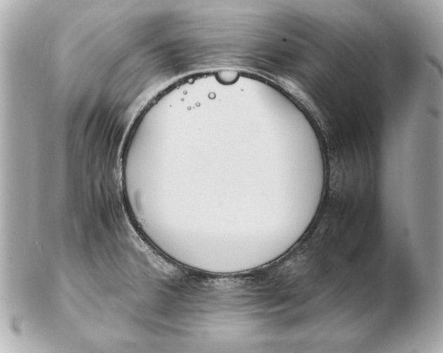 X0000102471380200808291554