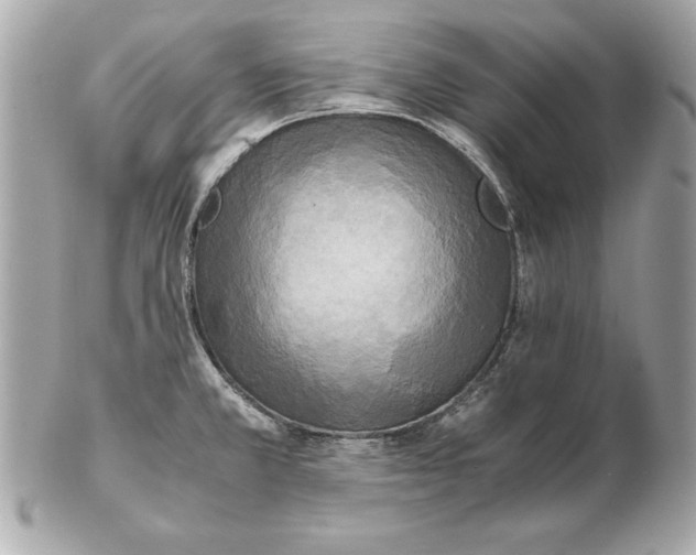 X0000102471381200808291554