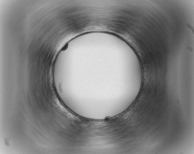 X0000102471382200808291554