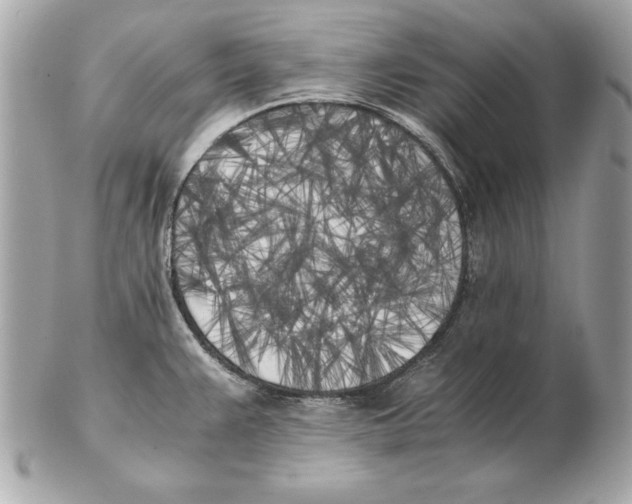 X0000102471383200808291554
