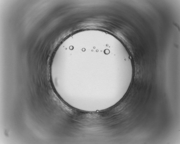X0000102471384200808291554