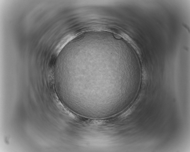 X0000102471385200808291554