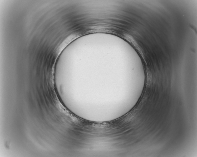X0000102471386200808291554