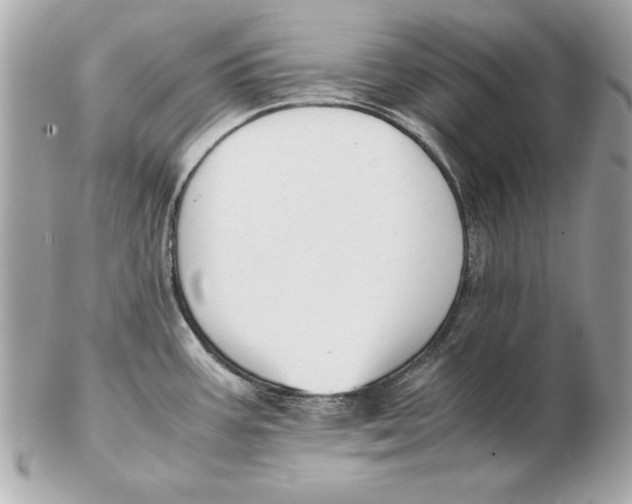 X0000102471387200808291554