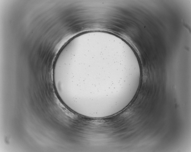 X0000102471388200808291554