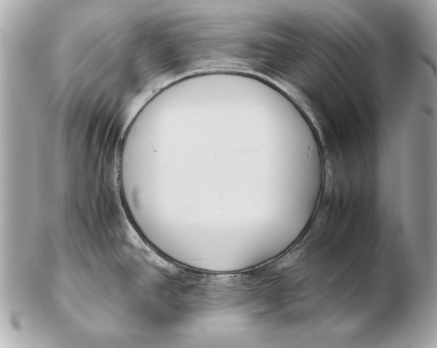 X0000102471390200808291554