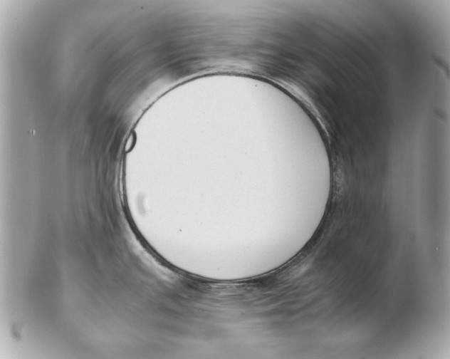 X0000102471391200808291554