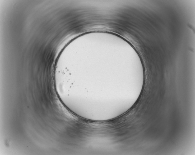 X0000102471392200808291554