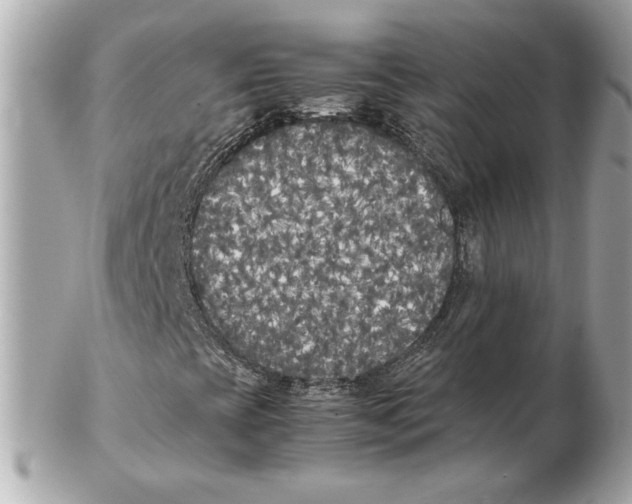X0000102471393200808291553