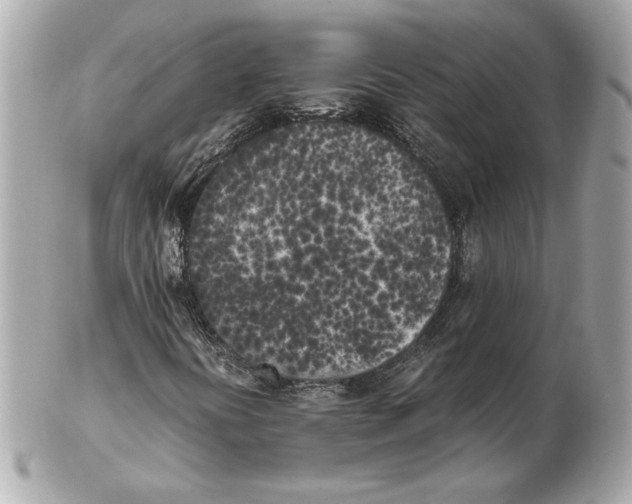 X0000102471394200808291553