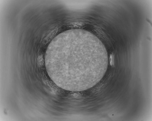 X0000102471395200808291554