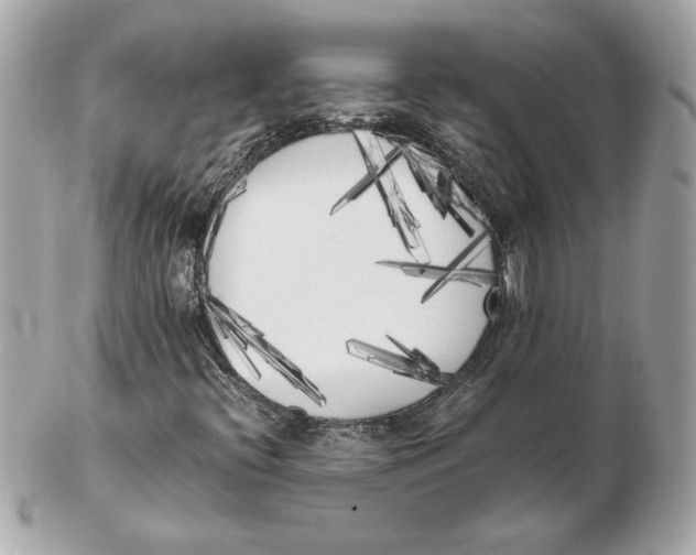 X0000102471396200808291554