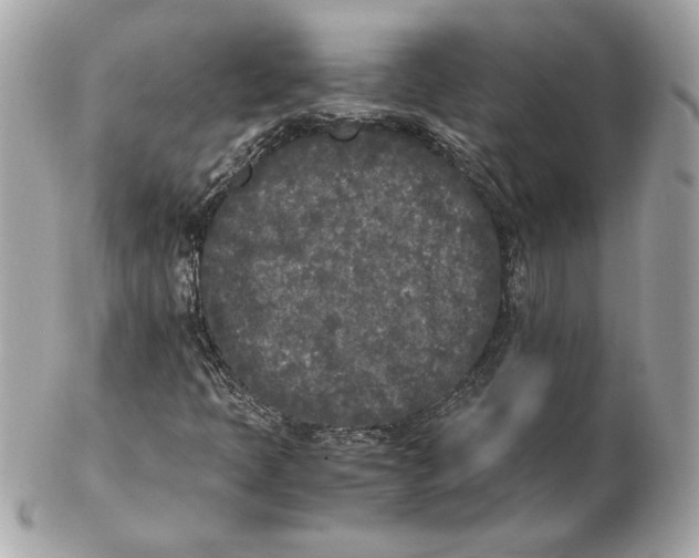 X0000102471397200808291554