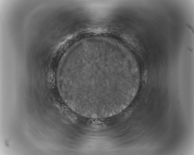 X0000102471398200808291554