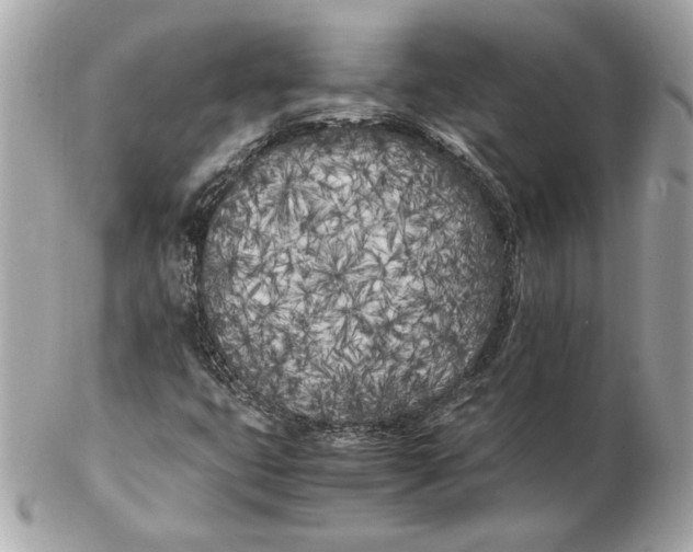 X0000102471399200808291554