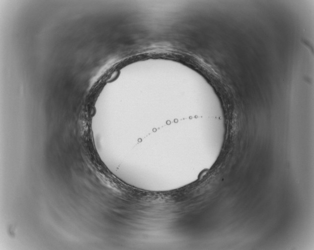 X0000102471400200808291554