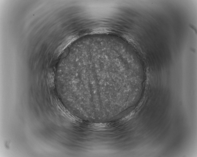 X0000102471401200808291554