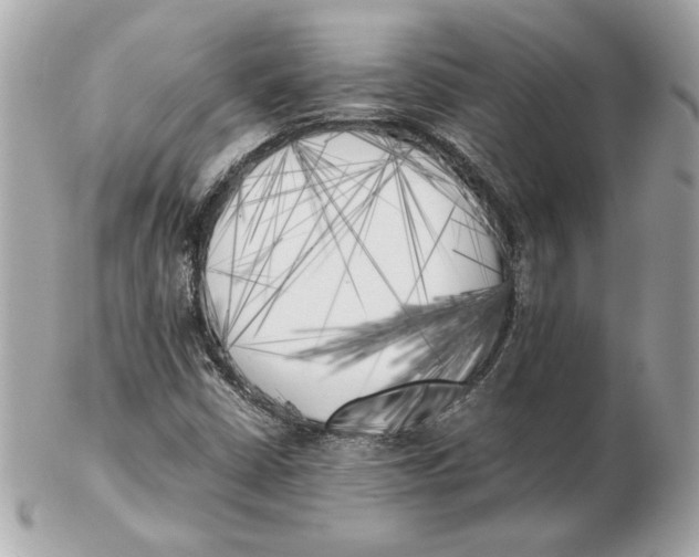 X0000102471402200808291554