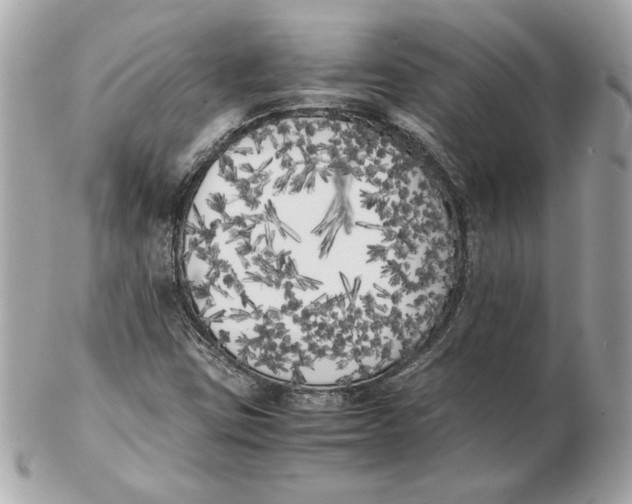 X0000102471403200808291554