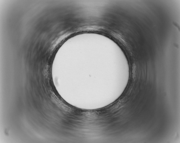 X0000102471404200808291554