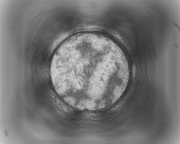 X0000102471405200808291554