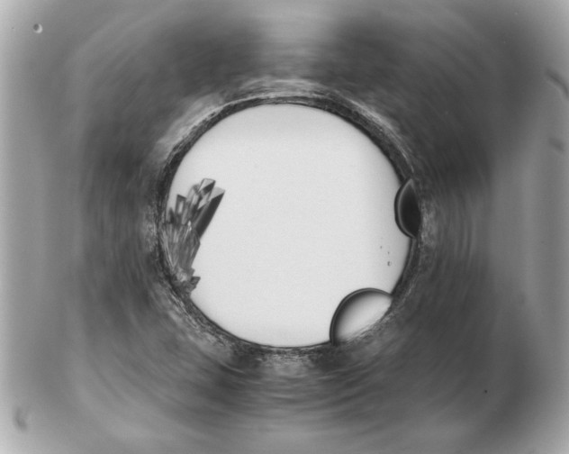 X0000102471407200808291554