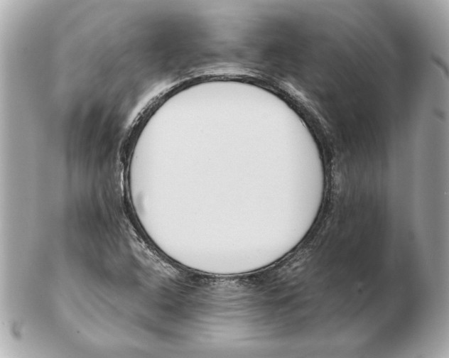 X0000102471408200808291554