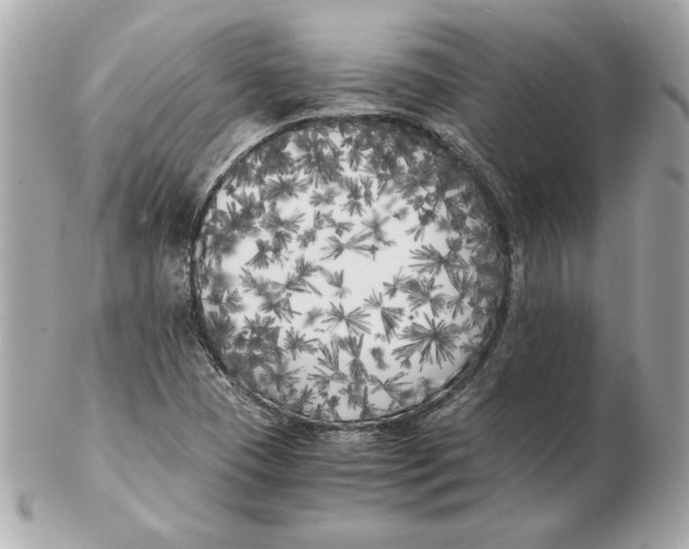 X0000102471409200808291554