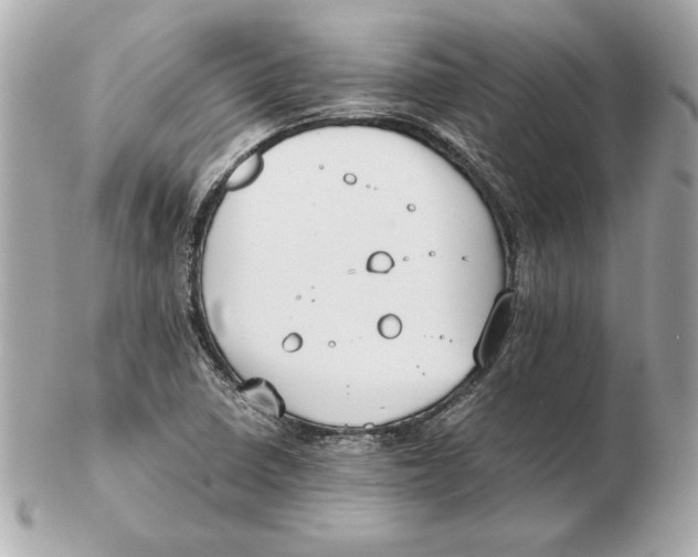 X0000102471410200808291554
