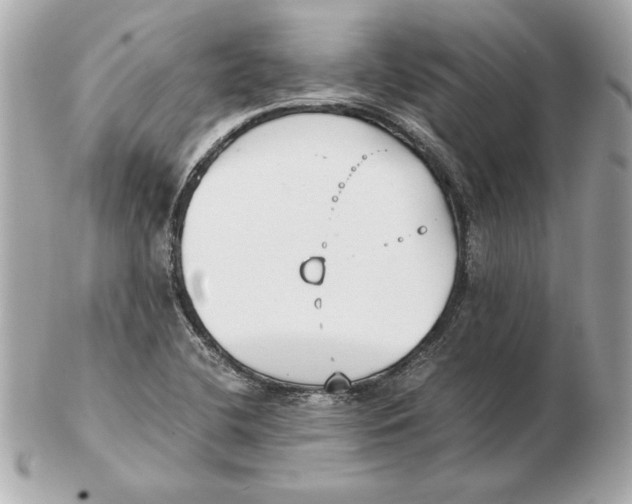 X0000102471412200808291554
