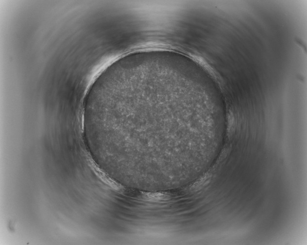 X0000102471413200808291554