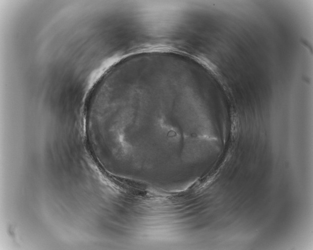 X0000102471414200808291554