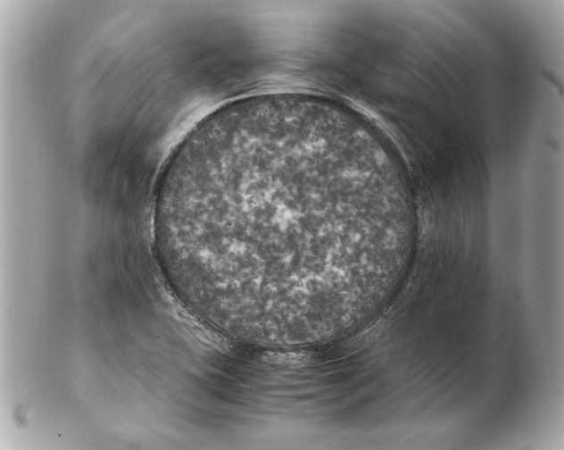 X0000102471415200808291554