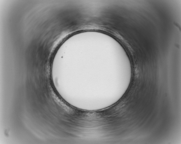 X0000102471416200808291554