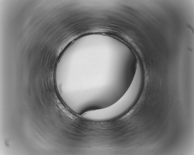 X0000102471417200808291554