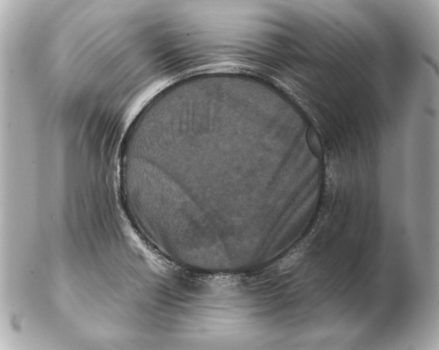 X0000102471418200808291554
